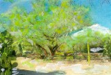 Palo Verdes, Arizona